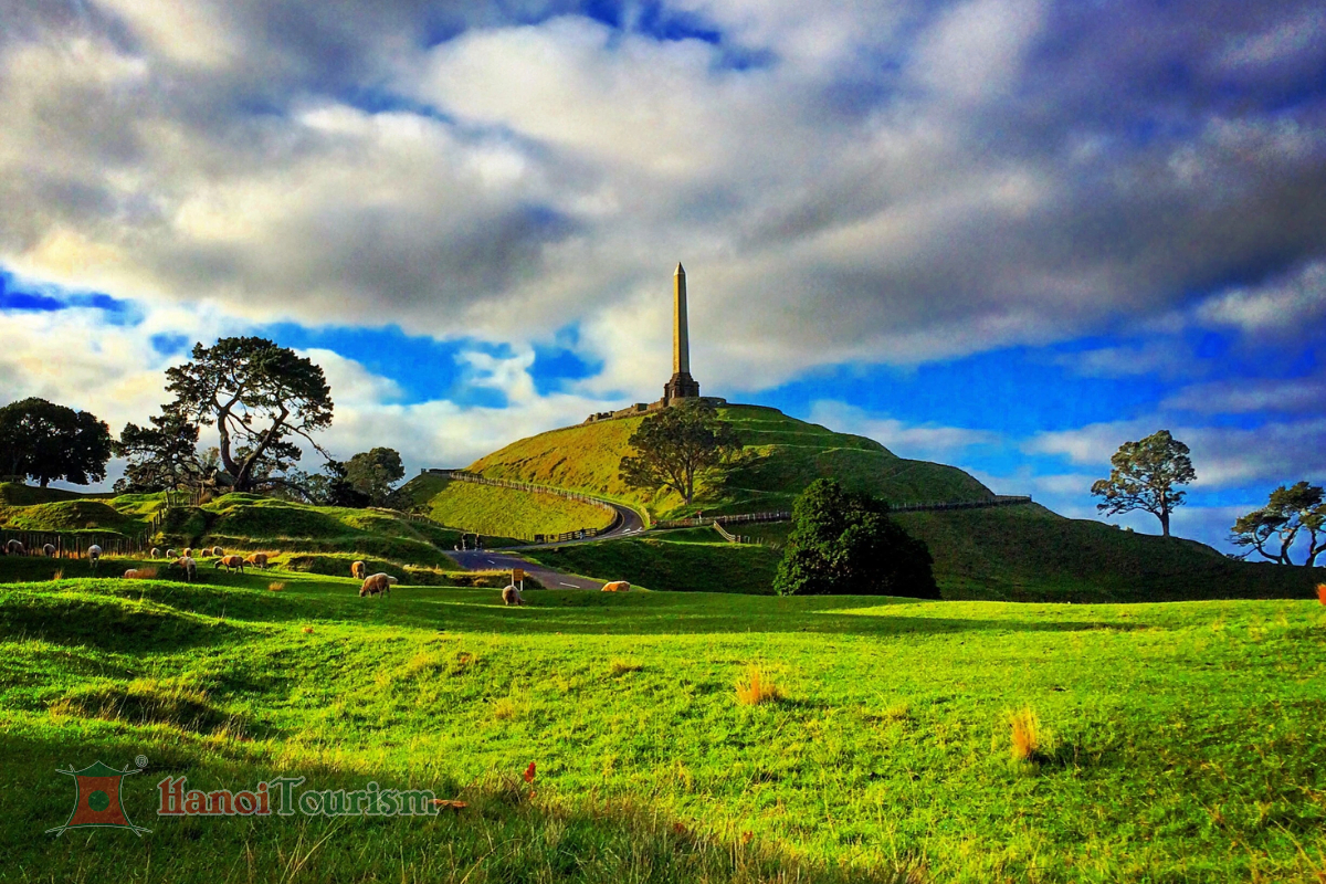 one tree hill new zealand