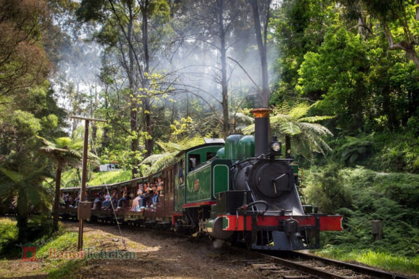 Puffing Billy Steam Train – Dandenong – Úc