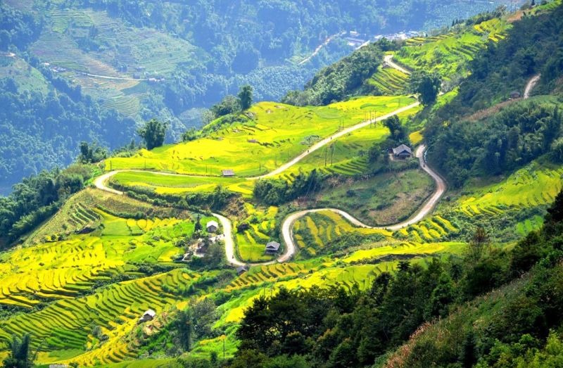 Đèo Khau Phạ