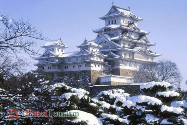 Lâu đài Nagoya - Nagoya - Nhật Bản - Mùa đông