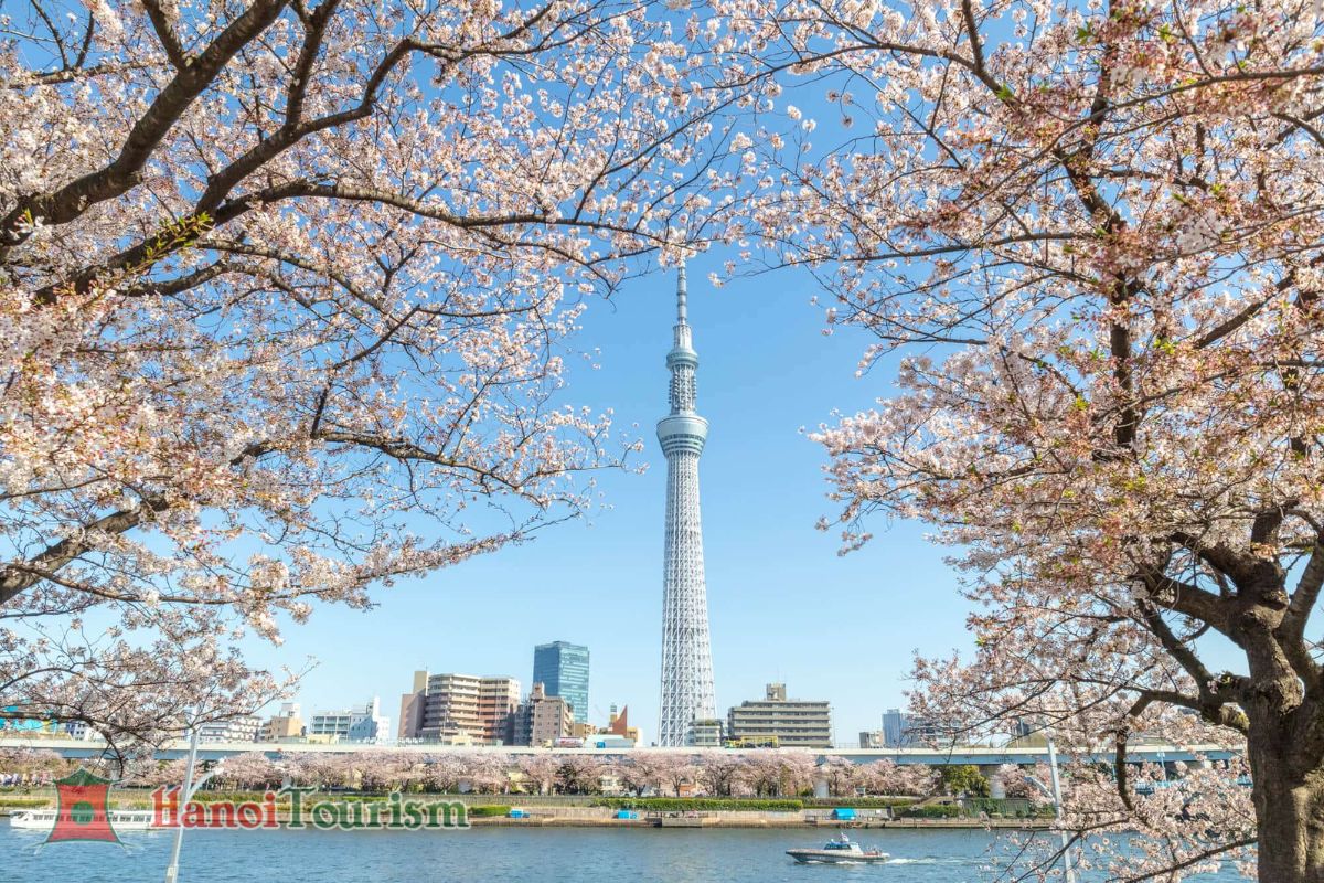 Tháp truyền hình Tokyo Skytree - Nhật Bản - Mùa xuân