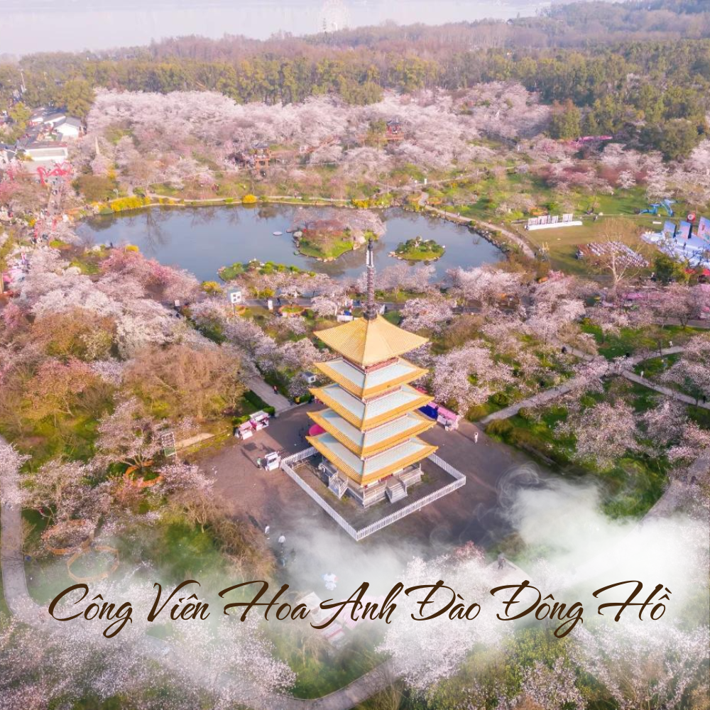 Công Viên Hoa Anh Đào Đông Hồ