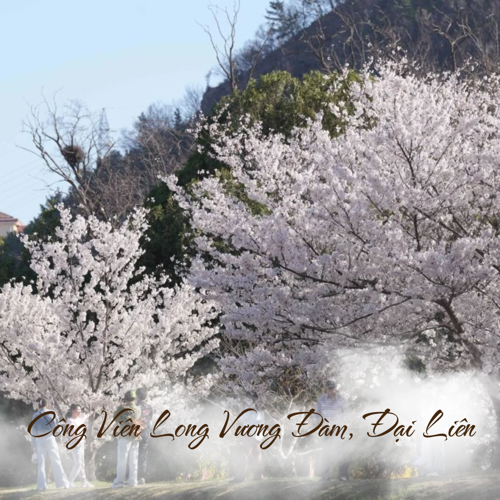 Công Viên Long Vương Đàm, Đại Liên