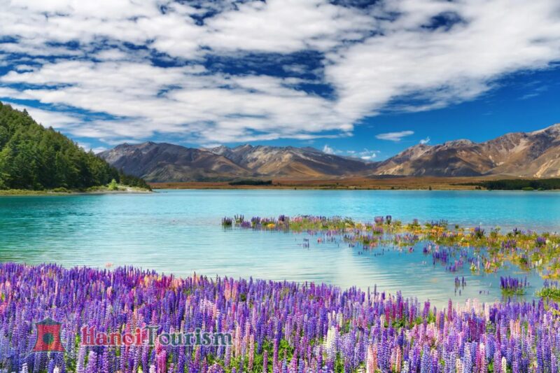 Hồ Tekapo - New Zealand